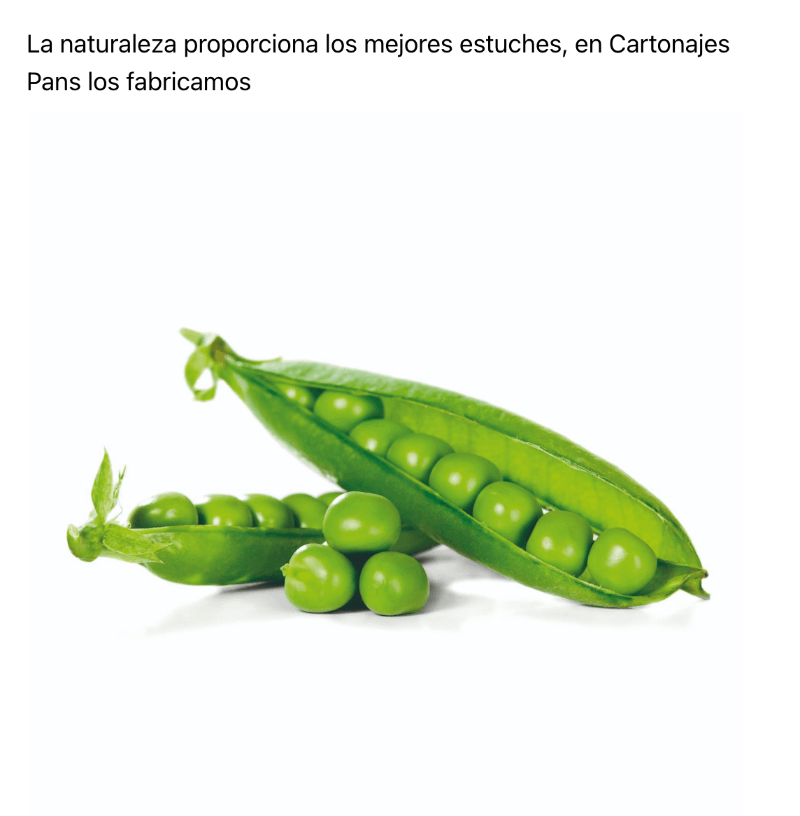 Envase de cartón impreso para alimentación